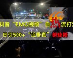 抖音EMO视频自热打法，日引500+“泛垂直”创业粉