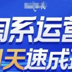 淘系运营21天速成班(更新24年7月)，0基础轻松搞定淘系运营，不做假把式