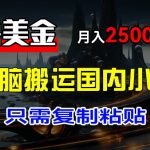 最新撸美金项目，搬运国内小说爽文，只需复制粘贴，稿费月入2500+美金，新手也能快速上手【揭秘】