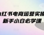 1V1小红书电商运营实操课，新手小白必学课