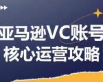 亚马逊VC账号核心玩法解析，实战经验拆解产品模块运营技巧，提升店铺GMV，有效提升运营利润