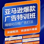 亚马逊爆款广告特训班，快速掌握亚马逊关键词库搭建方法，有效优化广告数据并提升旺季销量