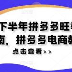 2024下半年拼多多旺季运营指南，拼多多电商教程