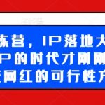 超级IP训练营，IP落地大课震撼来袭，个人IP的时代才刚刚开始，素人变网红的可行性方案