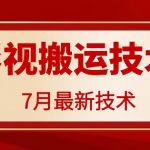 7月29日最新影视搬运技术，各种破百万播放