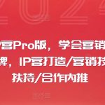 摄影师IP营Pro版，学会营销思维+打造个人品牌，IP营打造/营销技能/流量扶持/合作内推