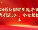 2024最新国学引流方法，每天引流50+，小白轻松上手【揭秘】