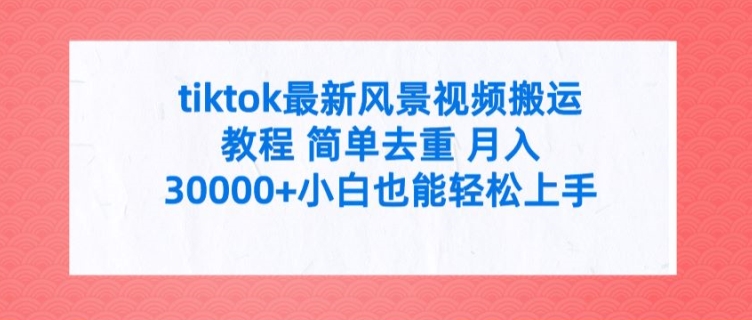 tiktok最新风景视频搬运教程 简单去重 月入3W+小白也能轻松上手【揭秘】