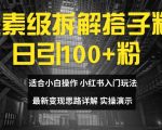 像素级拆解搭子粉，日引100+，小白看完可上手，最新变现思路详解【揭秘】