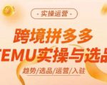 跨境拼多多TEMU实操与选品，多多temu跨境选品运营实操