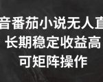 抖音番茄小说无人直播，长期稳定收益高，可矩阵操作【揭秘】