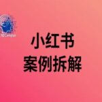 小红书案例拆解，深度解读小红书40万粉