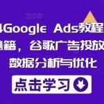 2024Google Ads教程，精准询盘秘籍，谷歌广告投放流程，数据分析与优化