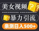 搬运tk美女视频全网分发，日引s粉300+，轻松变现，不限流量不封号【揭秘】