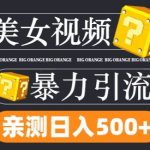 搬运tk美女视频全网分发，日引s粉300+，轻松变现，不限流量不封号【揭秘】