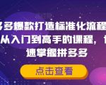 拼多多爆款打造标准化流程2.0，一套从入门到高手的课程，让你快速掌握拼多多