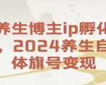 养生博主ip孵化课，2024养生自媒体旗号变现