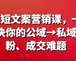 爆款短文案营销课，一次解决你的公域→私域涨粉、成交难题