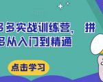 最新拼多多实战训练营， 拼多多从入门到精通