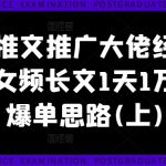 小说推文推广大佬经验分享，女频长文1天1万收益爆单思路(上)