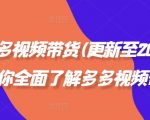 拼多多视频带货(更新至2024)，带你全面了解多多视频带货