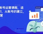 TikTok全套账号运营课程，适合0基础学习，从账号的建立，到账号的运营