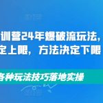 拼多多特训营24年爆破流玩法，产品决定上限，方法决定下限，各种玩法技巧落地实操