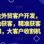 百万美金外贸客户开发，外贸主动获客，精准获客系统思维，大客户收割机