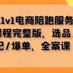 小红书1v1电商陪跑服务，资料+课程完整版，选品/笔记/爆单，全案课