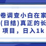 国内问卷调查小白在家也可批量操作(日结)真正的长久稳定项目，日入1k【揭秘】