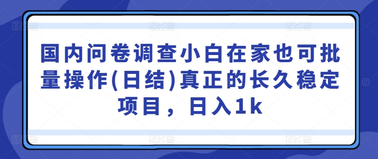 国内问卷调查小白在家也可批量操作(日结)真正的长久稳定项目，日入1k【揭秘】