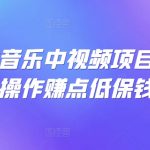 可视化音乐中视频项目，无脑操作赚点低保钱