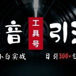 2024最新抖音工具号引流玩法，高效日引300+创业粉，当天变现5k，小白也可成为实战高手