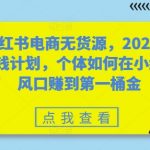 小红书电商无货源，2024年搞钱计划，个体如何在小红书风口赚到第一桶金