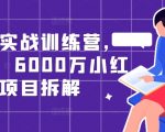 小红书实战训练营，从0到1，6000万小红书项目拆解