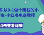 9节课带你从0-1做个赚钱的小红书博主-小红书电商教程