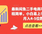 最新闲鱼二手电商项目，流程简单，小白易上手，副业月入4-5位数!