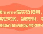 短视频meme猫实战项目，从选素材到把文案，到剪辑，手把手的教你快速起号涨粉