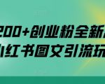 日引200+创业粉全新思路，小红书图文引流玩法【揭秘】