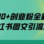 日引200+创业粉全新思路，小红书图文引流玩法【揭秘】