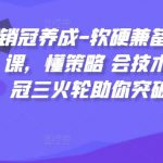 销冠养成-软硬兼备的销售技能课，懂策略 会技术 有能力 销冠三火轮助你突破销售瓶颈!