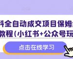 学科全自动成交项目保姆级SOP教程(小红书+公众号玩法)含资料