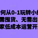 新手如何从0-1玩转小红书店铺，无需囤货、无需出镜，可在家低成本运营开店