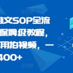 最新小说推文SOP全流程，从0~1保姆级教程，不用出镜不用拍视频，一天400+