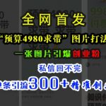 小红书“预算4980带我飞”图片打法，一张图片引爆创业粉，私信回不完，单条引流300+精准创业粉