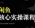 2024闲鱼核心实操课程，从养号、选品、发布、销售，教你做一个出单的闲鱼号