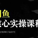 2024闲鱼核心实操课程，从养号、选品、发布、销售，教你做一个出单的闲鱼号