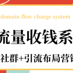 私域流量收钱系统课程（朋友圈+社群+引流布局营销）12节课完结