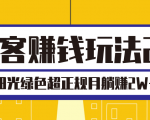 淘客赚钱玩法2.0，阳光绿色超正规项目，月躺赚2W+【视频课程】