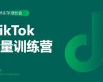 2020最新TikTok流量增长训练营（完结）附PPT